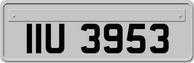 IIU3953