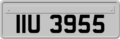 IIU3955