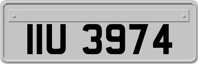 IIU3974