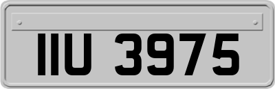 IIU3975