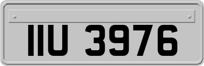 IIU3976