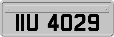 IIU4029