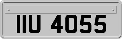 IIU4055
