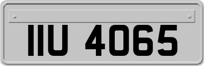 IIU4065