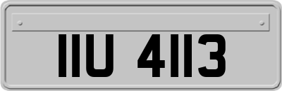 IIU4113