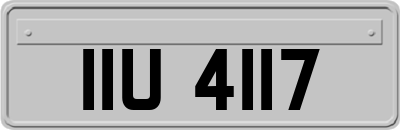 IIU4117