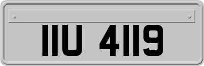 IIU4119