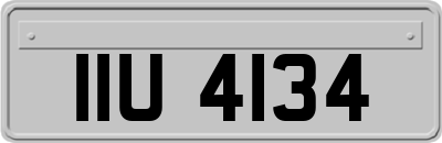 IIU4134