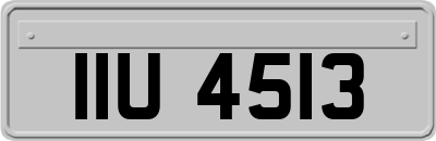 IIU4513