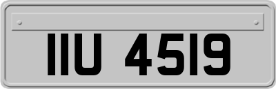 IIU4519