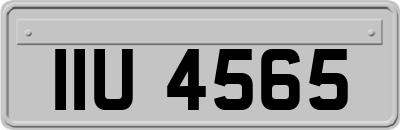 IIU4565