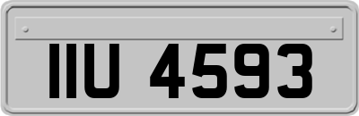 IIU4593