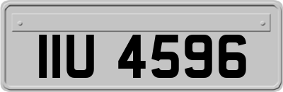 IIU4596