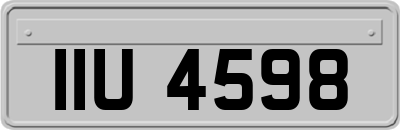 IIU4598