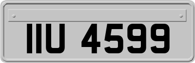IIU4599