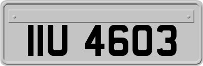 IIU4603