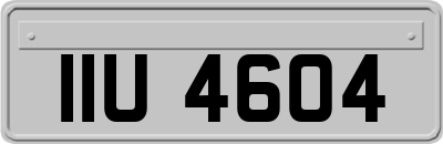 IIU4604