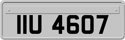 IIU4607