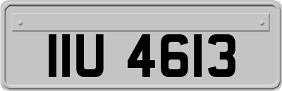 IIU4613
