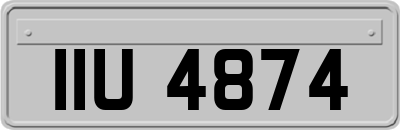 IIU4874