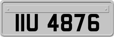 IIU4876