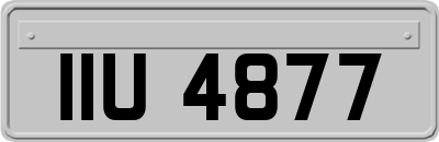IIU4877