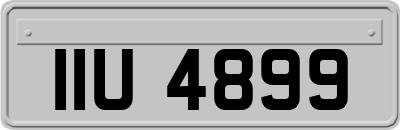 IIU4899