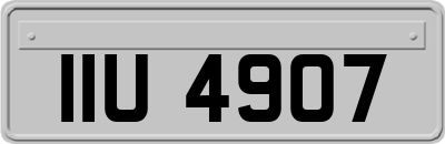IIU4907