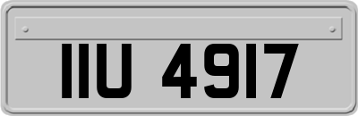 IIU4917