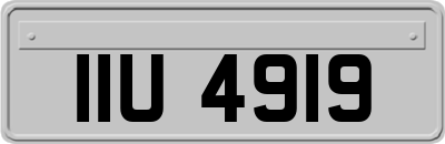 IIU4919