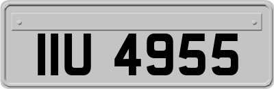 IIU4955