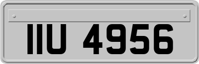 IIU4956