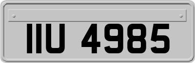 IIU4985