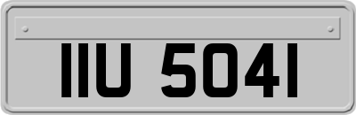 IIU5041