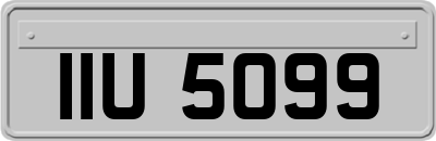 IIU5099