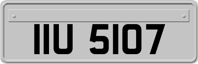 IIU5107