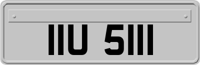 IIU5111