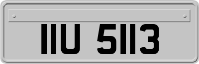 IIU5113
