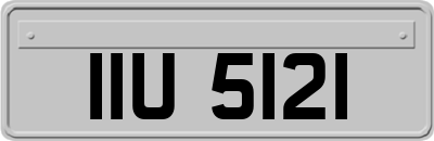 IIU5121