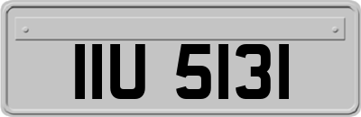 IIU5131