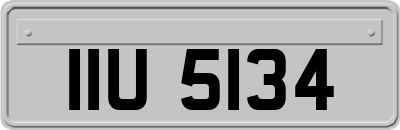 IIU5134