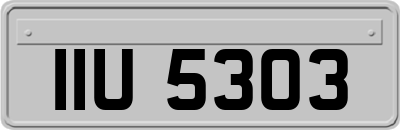 IIU5303