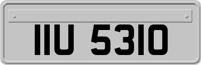 IIU5310