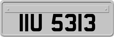 IIU5313