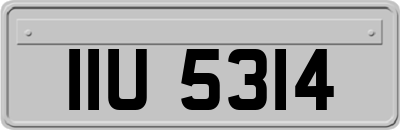 IIU5314