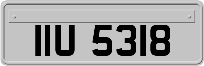 IIU5318