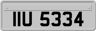 IIU5334