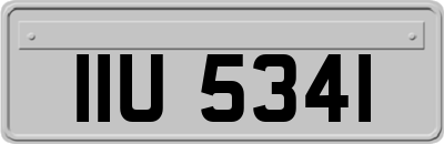 IIU5341