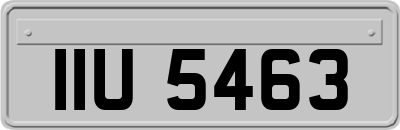 IIU5463