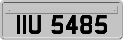IIU5485